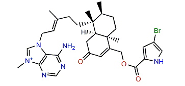 Agelasine P